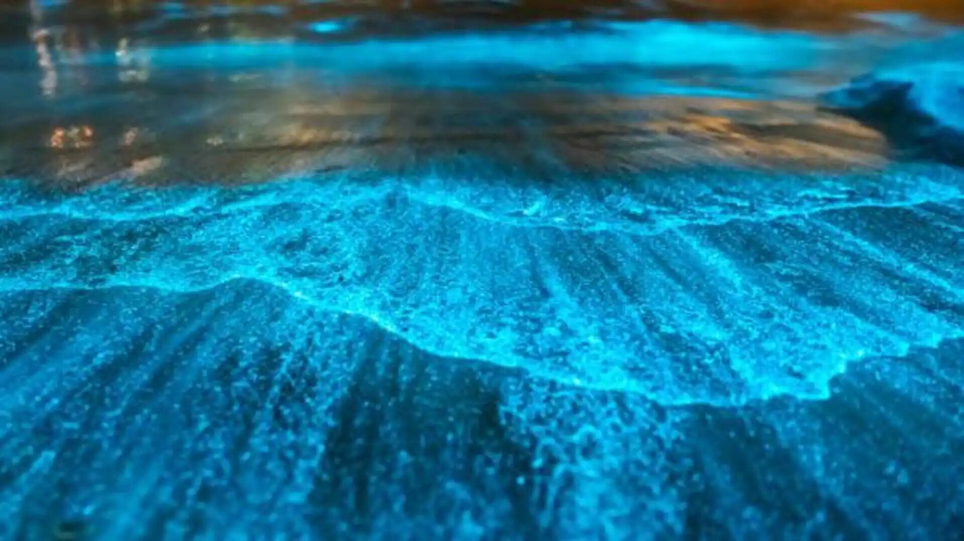 Swim in a galaxy of stars – Koh Rong’s magical plankton nights